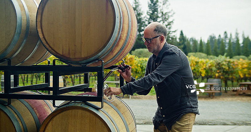 酿酒师使用移液管从酒桶中取样图片素材