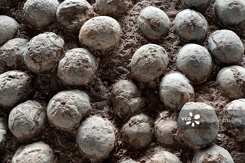 恐龙蛋化石图片素材