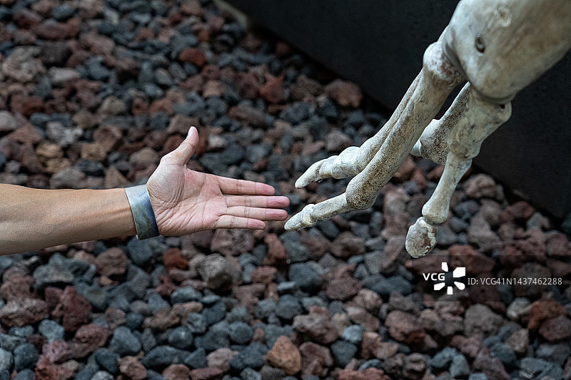 人手和恐龙爪图片素材