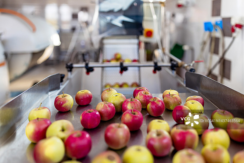 水果包装仓库中传送带上的干净新鲜的Gala苹果图片素材