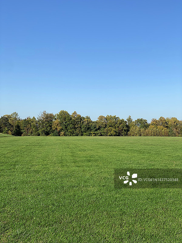草地／草坪图片素材