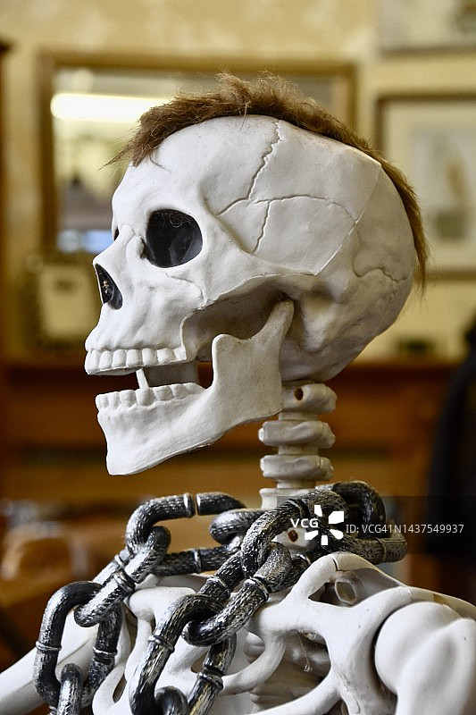 有莫西干头的骷髅图片素材