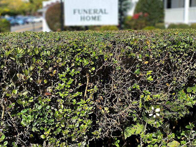 树篱后方殡仪馆标志的虚焦视图图片素材