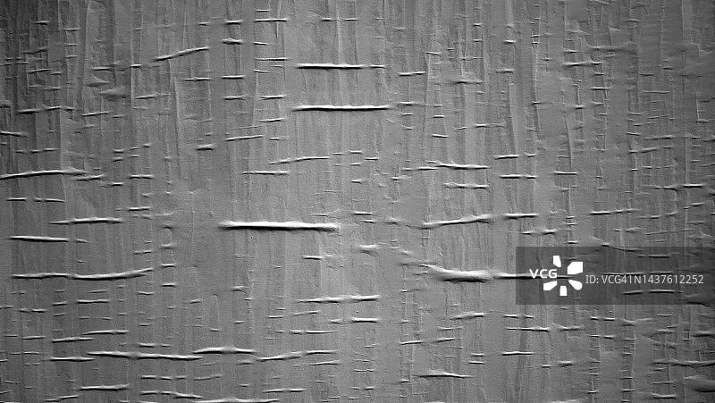 巴黎墙上粘贴的褶皱纸黑白照片图片素材