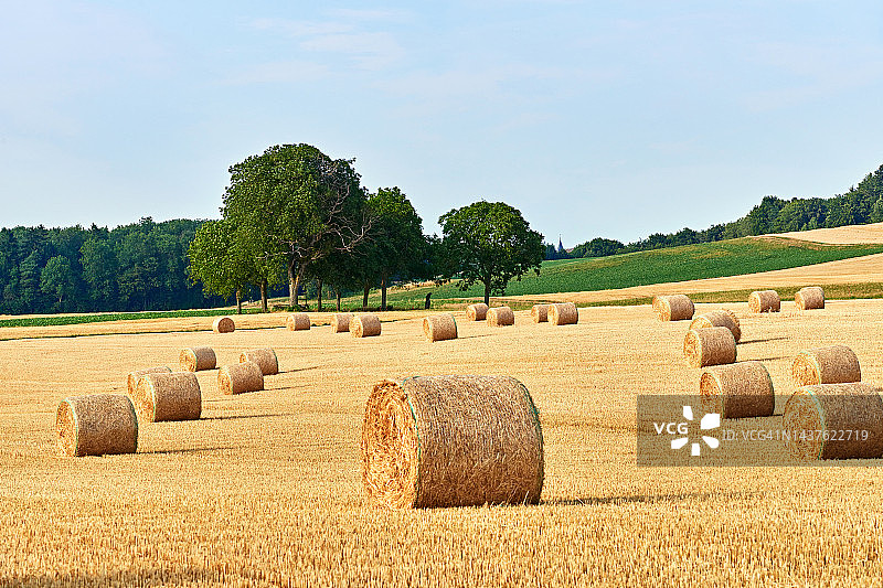 秋季农田里的干草捆图片素材