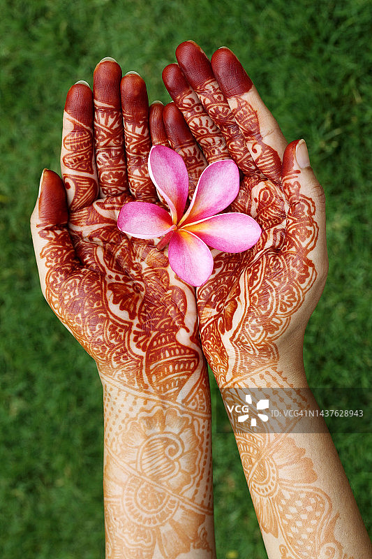 指甲花手上拿着美丽的鸡蛋花图片素材