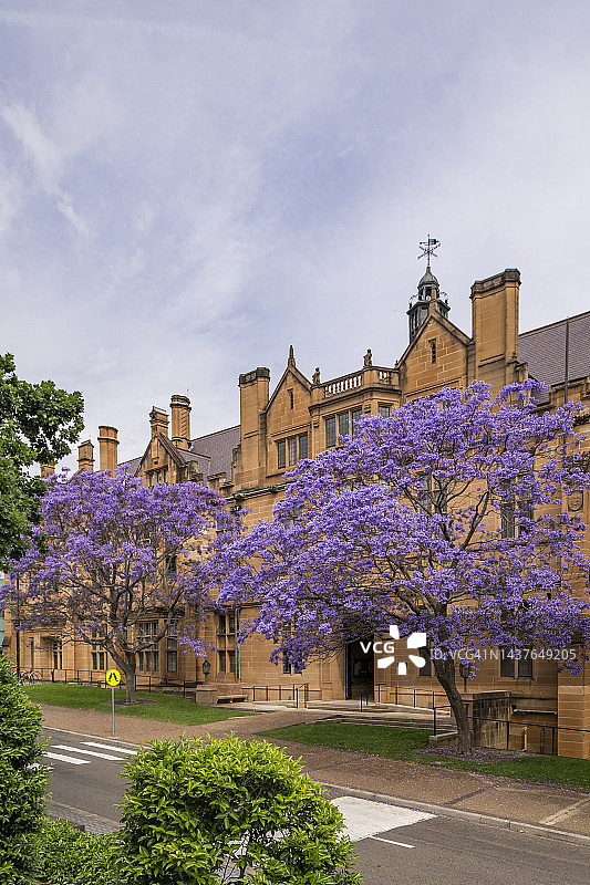 澳大利亚悉尼大学图片素材