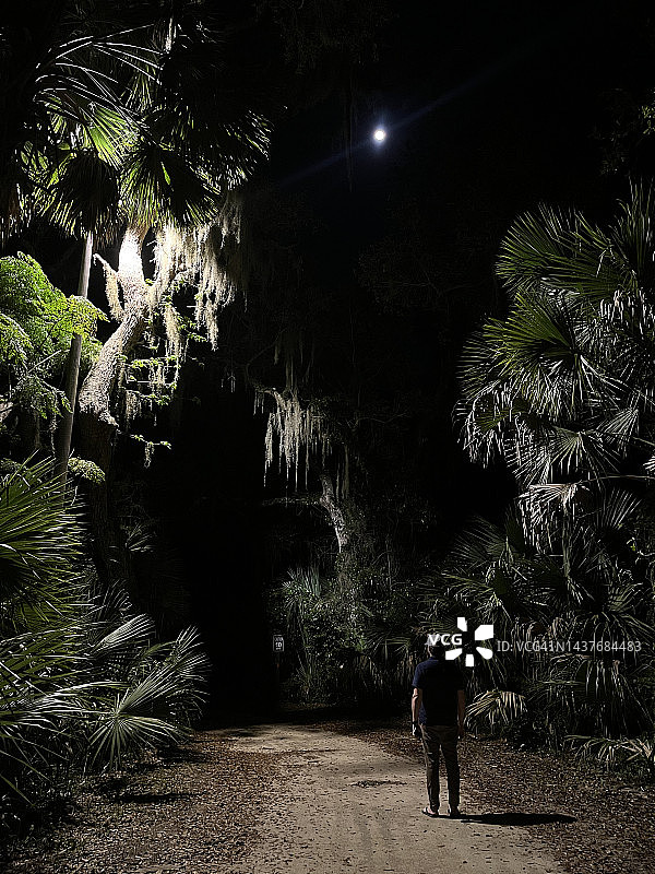 夜晚在佛罗里达森林的道路上行走的男人图片素材