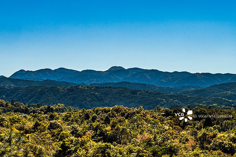 森林区域图片素材