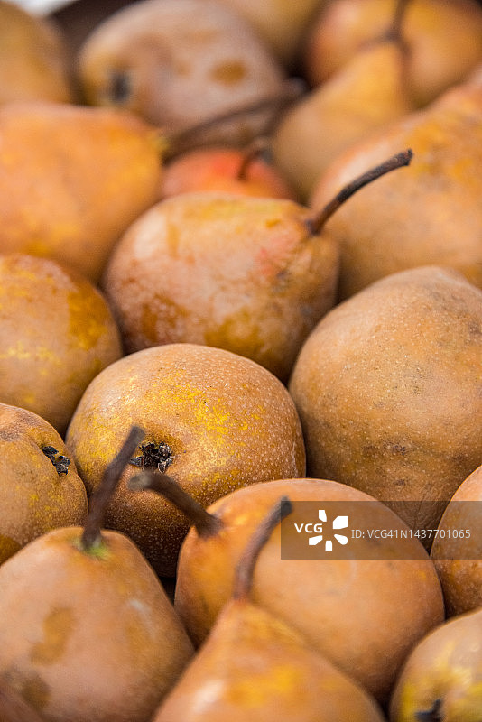 巴特梨图片素材