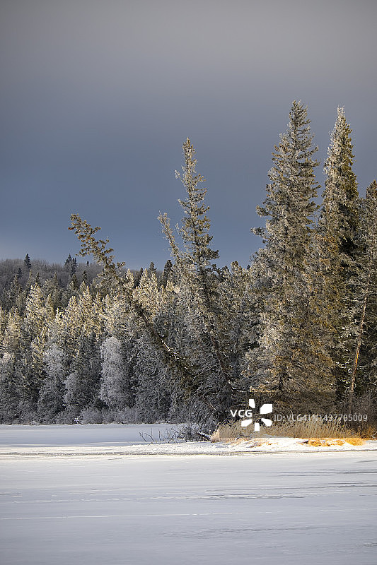 湖边的寒冷冬日早晨图片素材