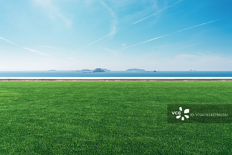 海边的草坪图片素材