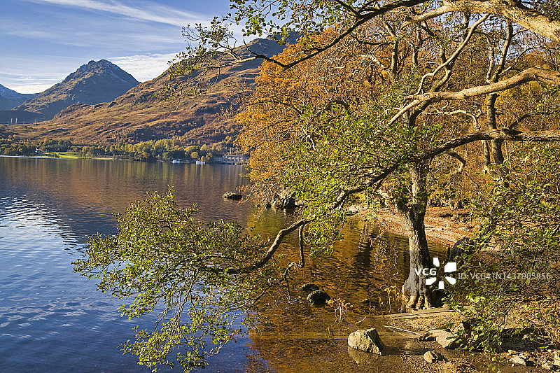 西高地Inversnaid小路，罗蒙湖，斯特灵郡，苏格兰，英国的秋色图片素材