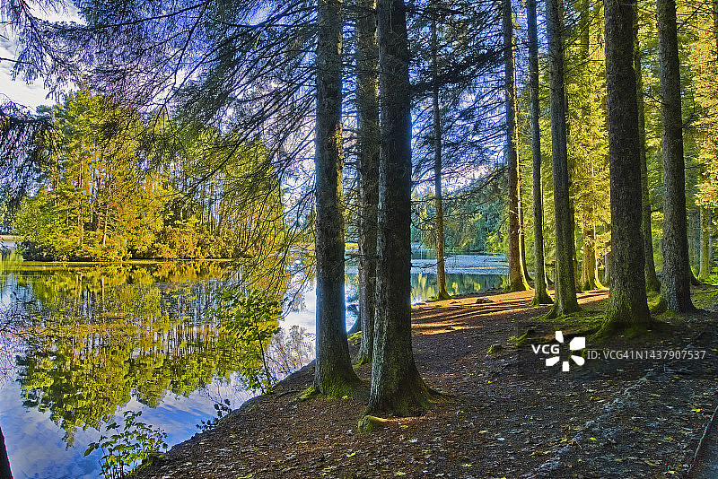 比克雷格郊野公园湖边的树林，靠近英国苏格兰西洛锡安林利思戈图片素材