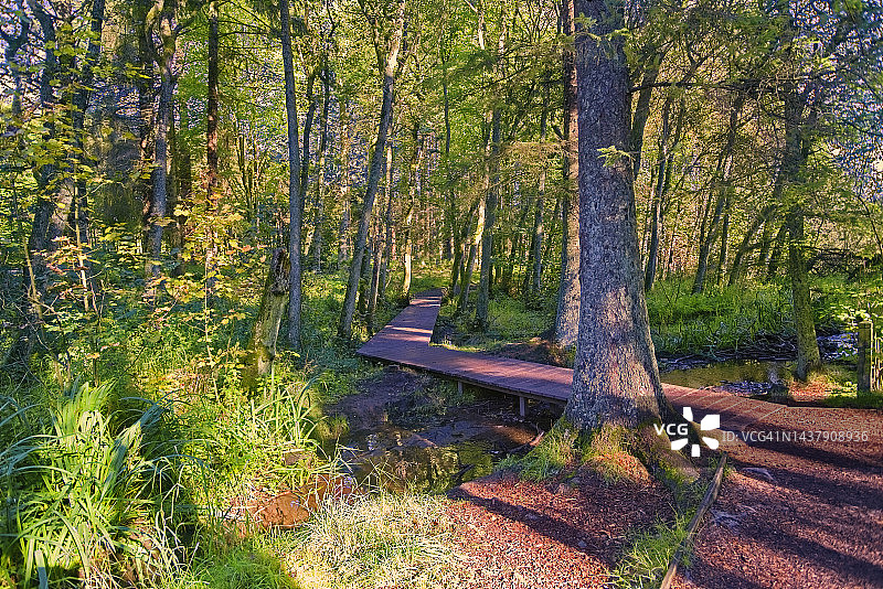 比克雷格郊野公园湖边的树林，靠近英国苏格兰西洛锡安林利思戈图片素材