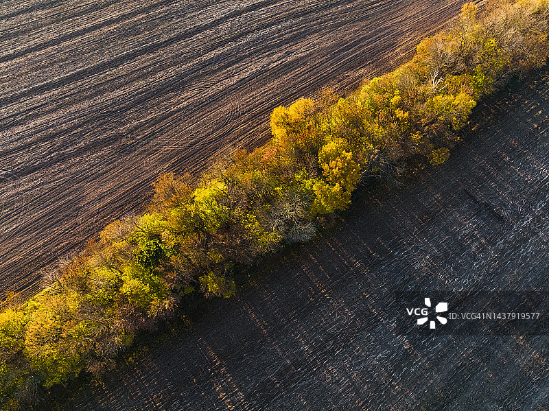 日落时分秋树田野鸟瞰图，美丽的乡村风光图片素材