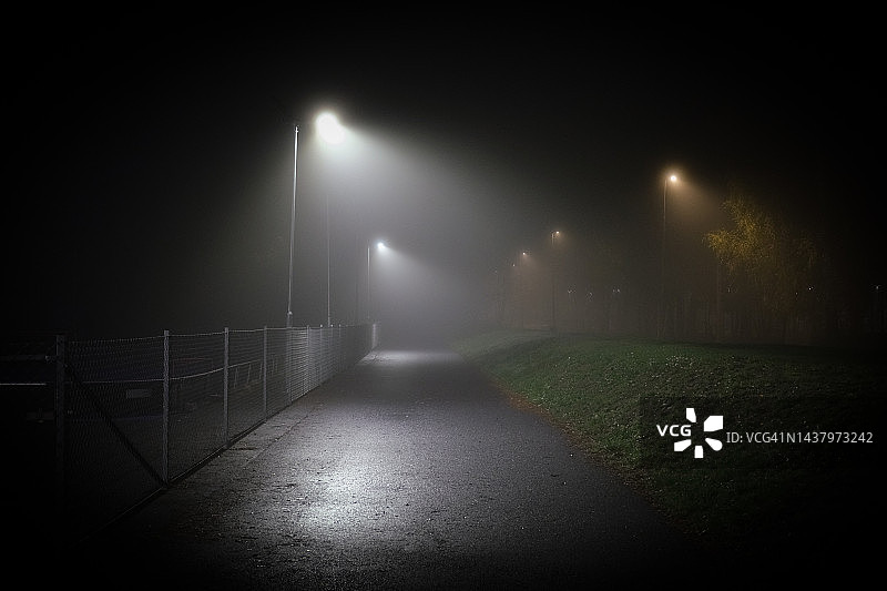 路灯照亮的雾蒙蒙秋夜小径图片素材