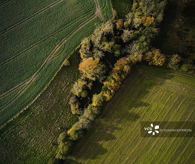 无人机视角的树木图片素材