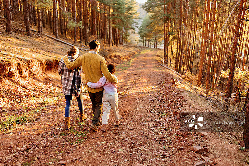 幸福的一家人在森林里徒步旅行的背影图片素材