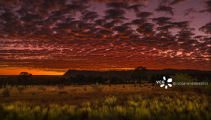 瓦塔卡国王峡谷国家公园，澳大利亚北部领地红土中心图片素材