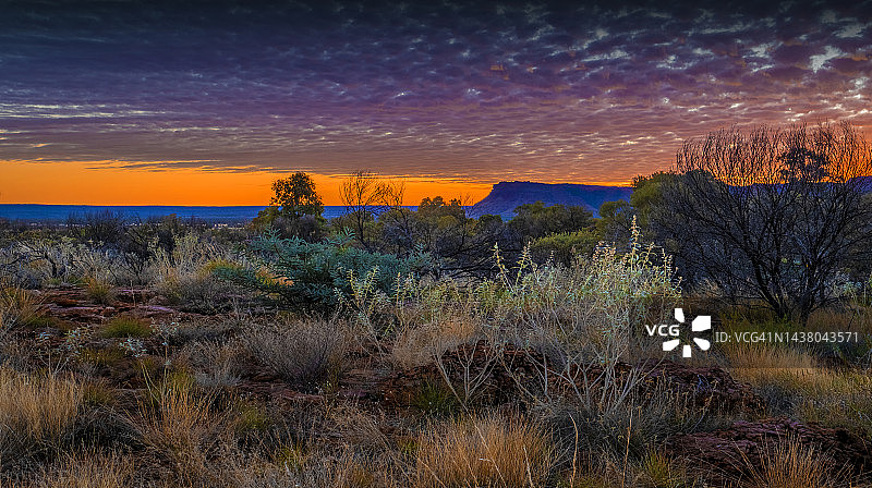 瓦塔卡国王峡谷国家公园，澳大利亚北部领地红土中心图片素材