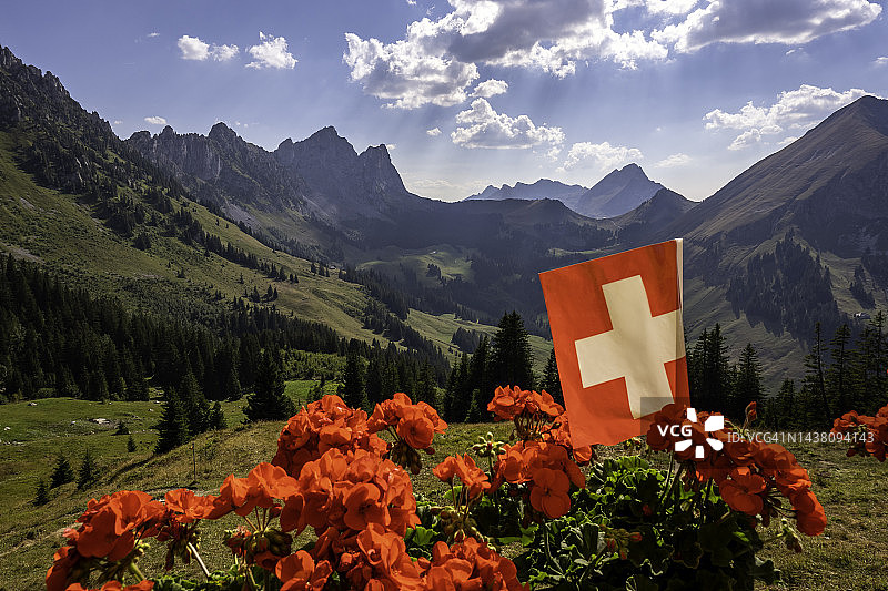 瑞士国旗和红色天竺葵花，格鲁耶尔阿尔卑斯山景色图片素材