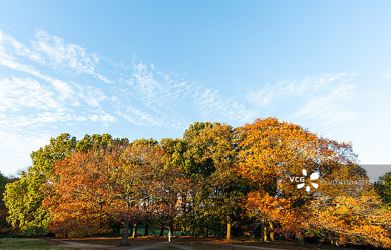 伦敦公园的秋色图片素材
