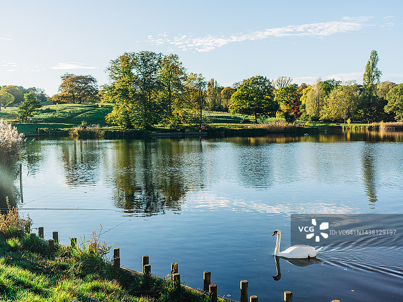 伦敦公园的秋色图片素材
