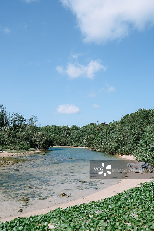 红树林河流，石垣岛，冲绳，日本图片素材
