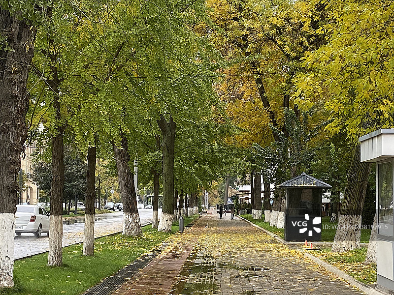 塔什干，乌兹别克斯坦图片素材