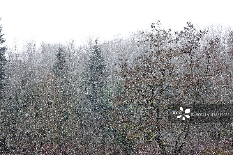 冬日自然风光图片素材