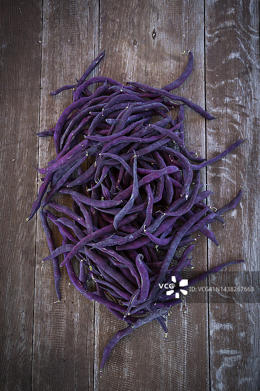 新鲜采摘的紫扁豆图片素材