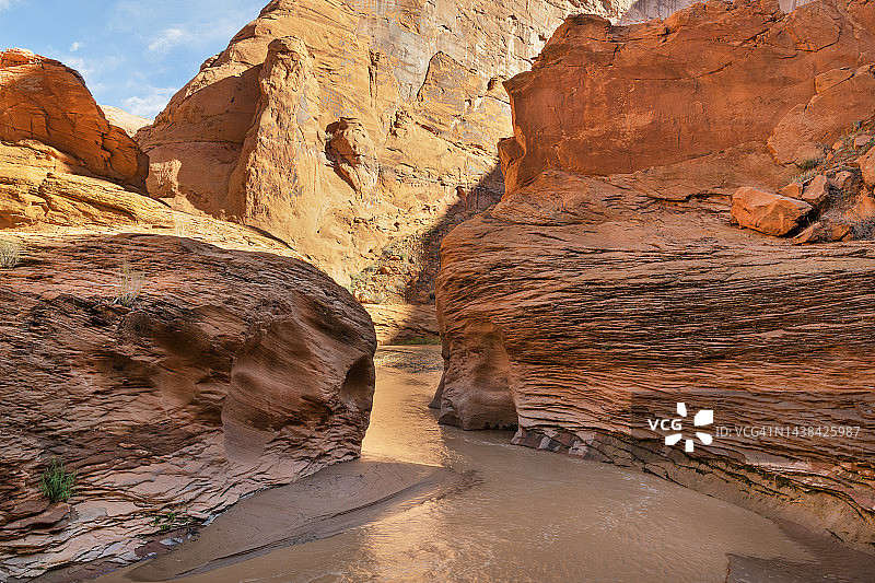 郊狼峡谷的溪流图片素材