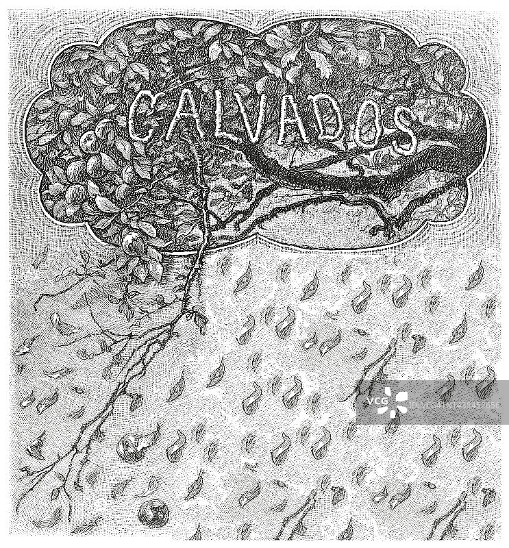 法国诺曼底地区卡尔瓦多斯省古董雕刻插图图片素材