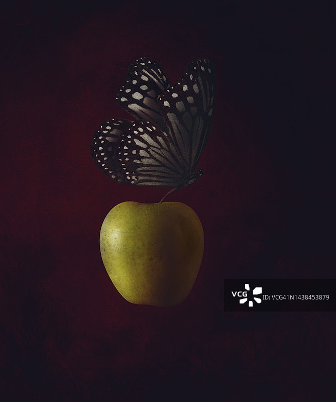 从尾巴长出的苹果，一只蝴蝶。图片素材