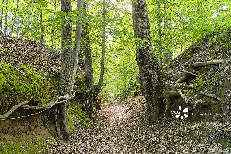沉没的痕迹，纳奇兹小道图片素材