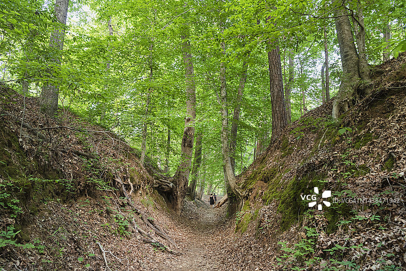 沉没的痕迹，纳奇兹小道图片素材
