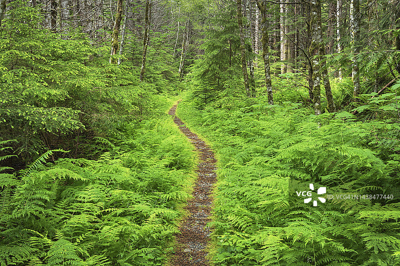 努克萨克冰斗小径图片素材