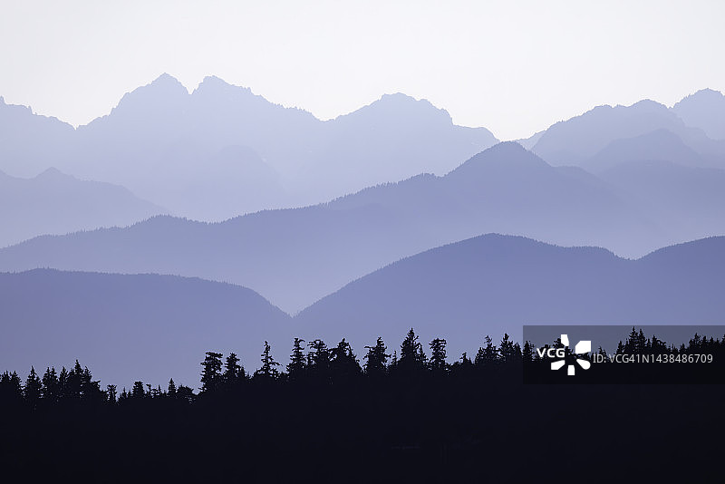 奥林匹克山脉的黄昏剪影与树木，前景清晰图片素材