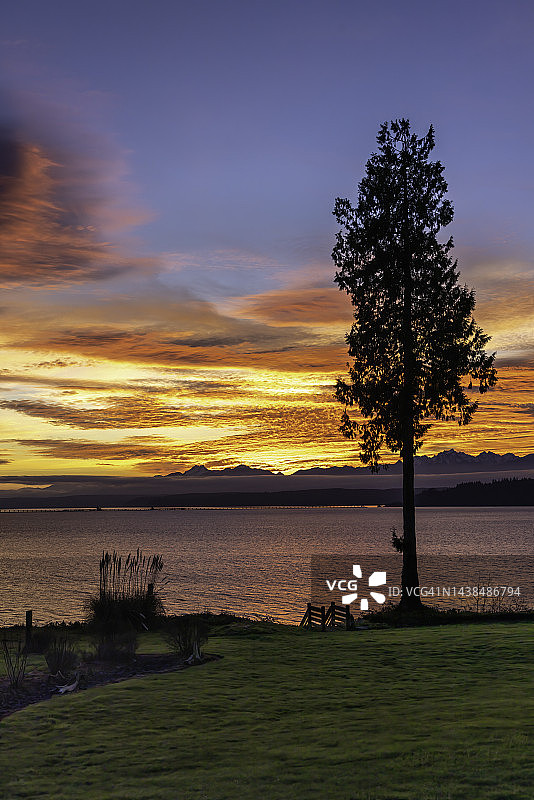 华盛顿州西雅图普吉特海湾和奥林匹克山脉的亮橙色日落，前景为树木和海滩阶梯图片素材