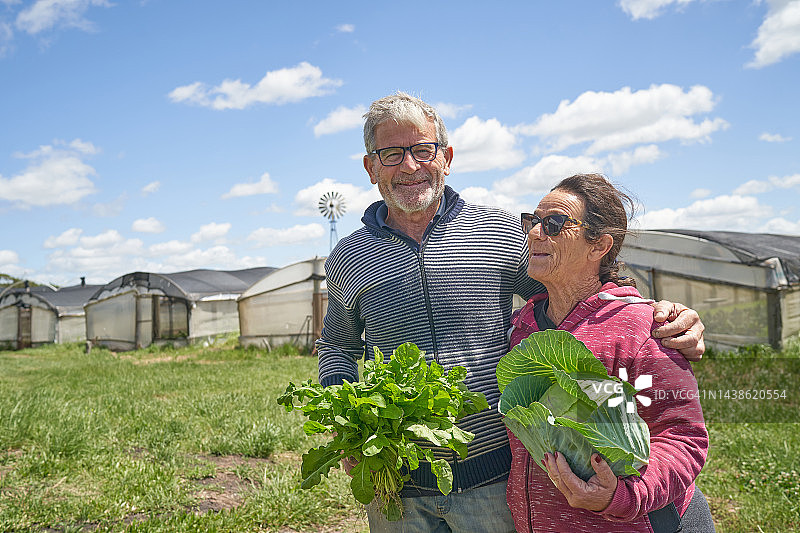老年夫妇在温室里展示自家种植的蔬菜图片素材