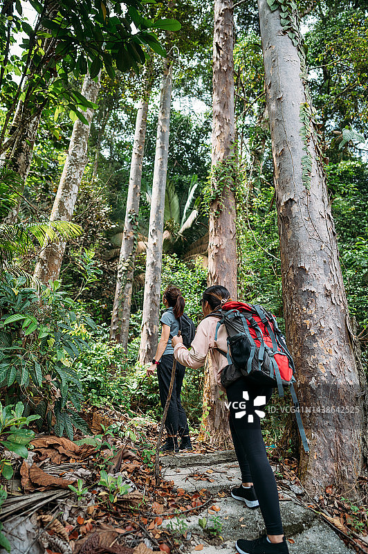 两位背着背包的亚洲中国女性徒步旅行者在热带雨林中行走图片素材