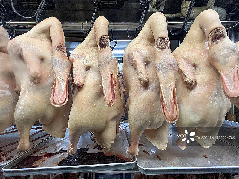 橱窗里悬挂的生北京烤鸭图片素材