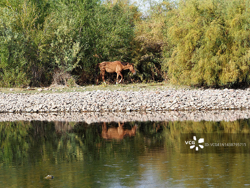 寻找自我图片素材
