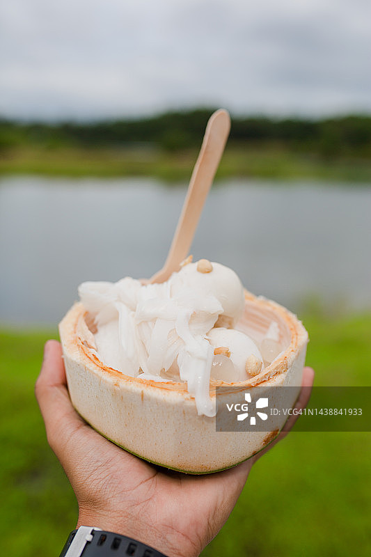 椰子冰淇淋图片素材