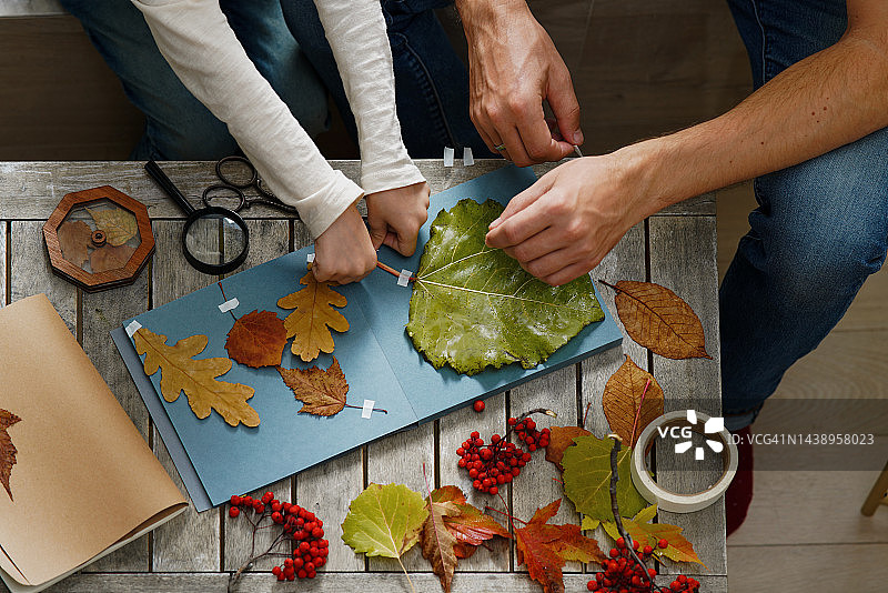 儿童与男子用秋叶制作植物标本俯视图图片素材
