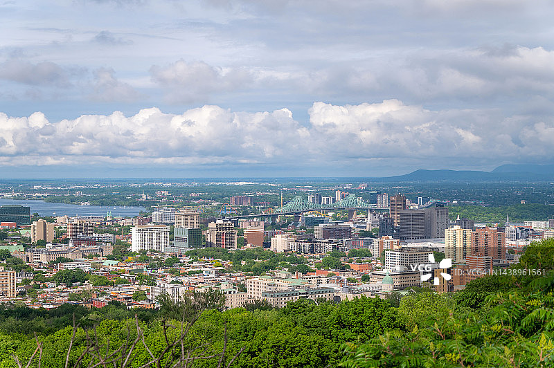 夏天加拿大蒙特利尔的天际线图片素材