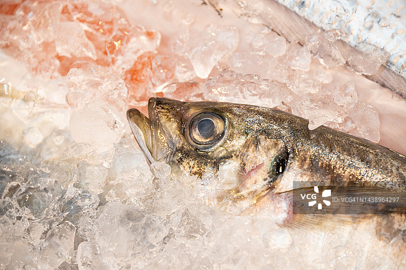 韩国首尔冰鲜海鲜，带文案空间图片素材