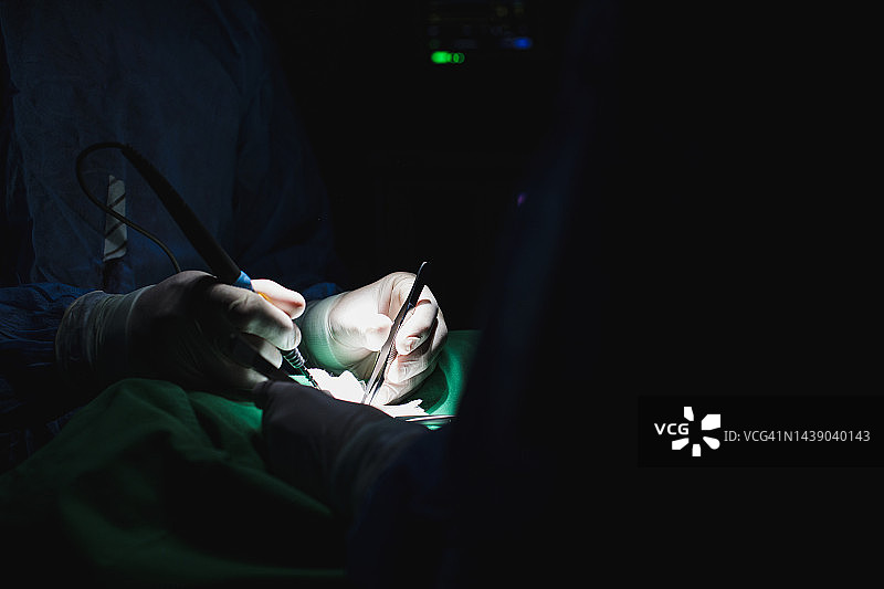 兽医手术场景图片素材