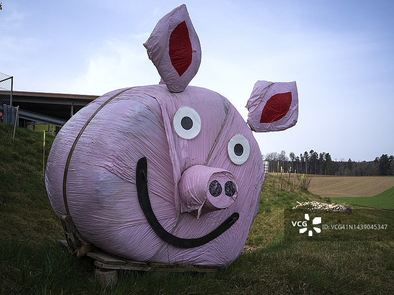 路边的猪形干草捆图片素材